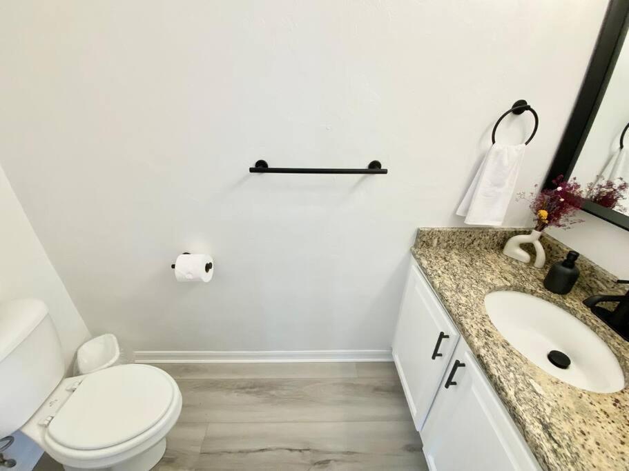 Sanctuary Gainesville Bright 2 Bedroom King Condo Zewnętrze zdjęcie